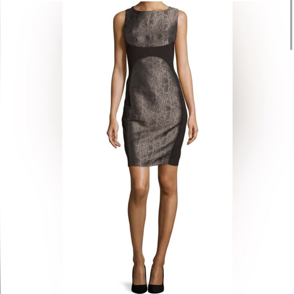 Laundry By Shelli Segal Women's Snake Print Color Block Shift Dress 6